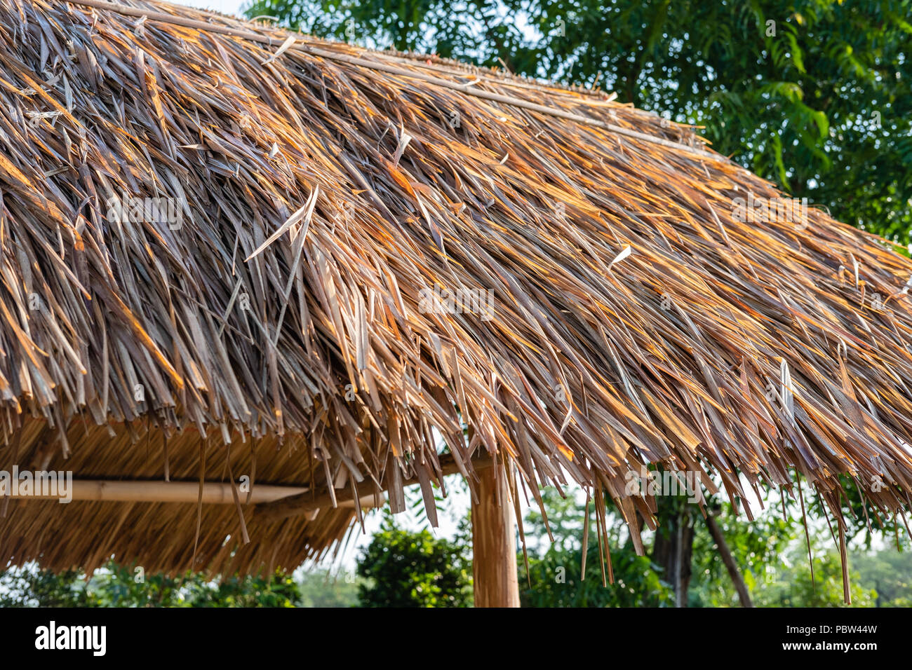 Palm Thatch Roof Cabana Stock Photo Alamy