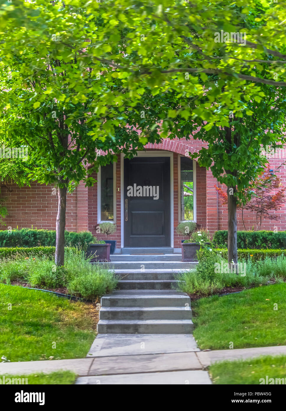 Trees Framing The Path To The Front Door Stock Photo 213837724