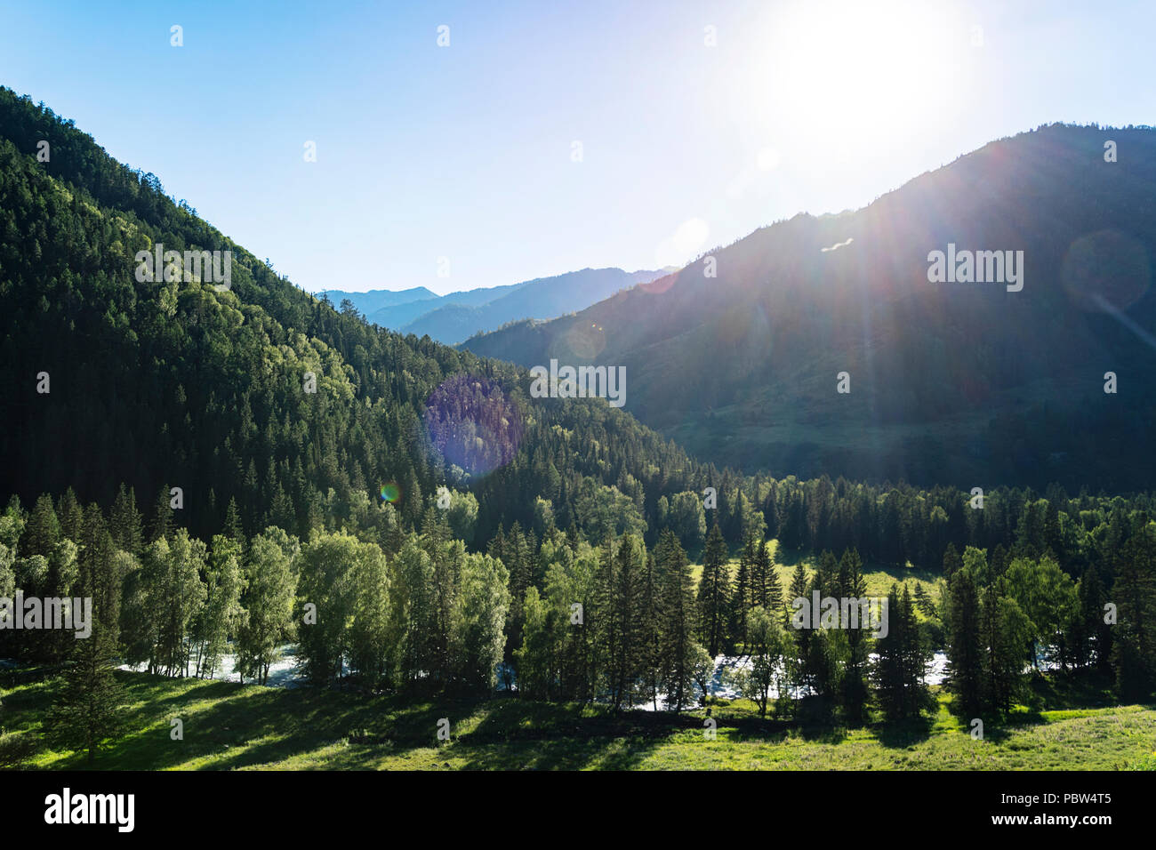 View of the valley of Altai river from the slope of mount. Siberia, Russia Stock Photo