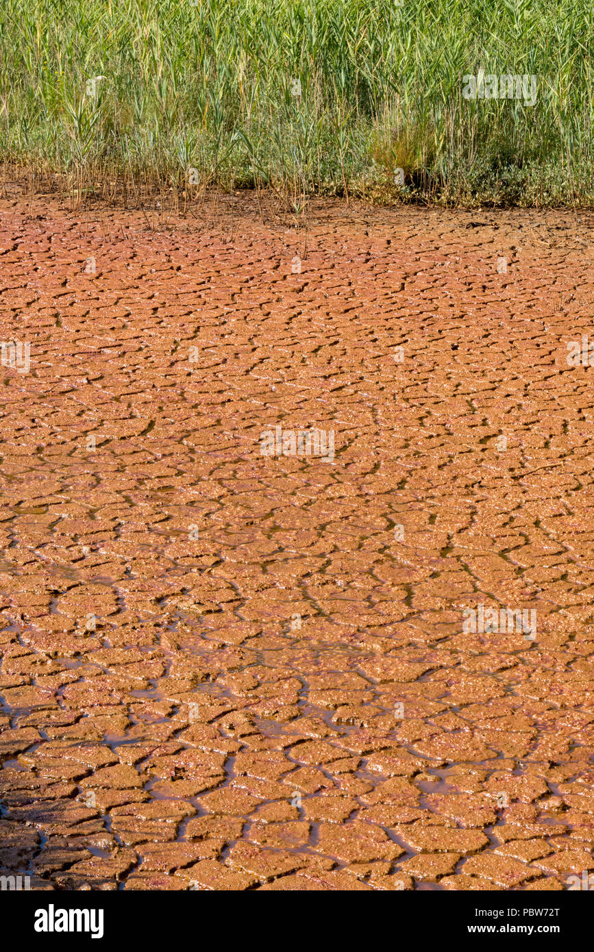 the bottom of a dried out lake or resivoir during a geatwave or drought Stock Photo