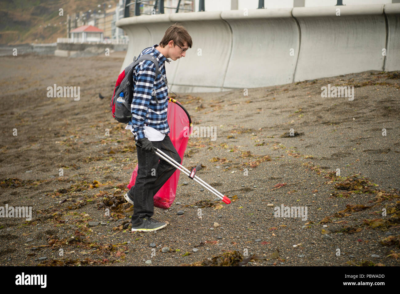 A young man  picking up litter off the beach in Aberystwyth WalesUK on a volunteering 'clean up' day, July 2018. Stock Photo