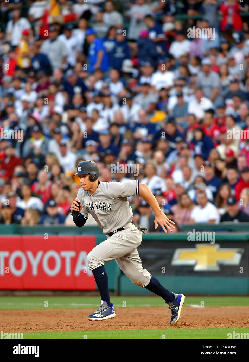 Aaron judge hi-res stock photography and images - Alamy