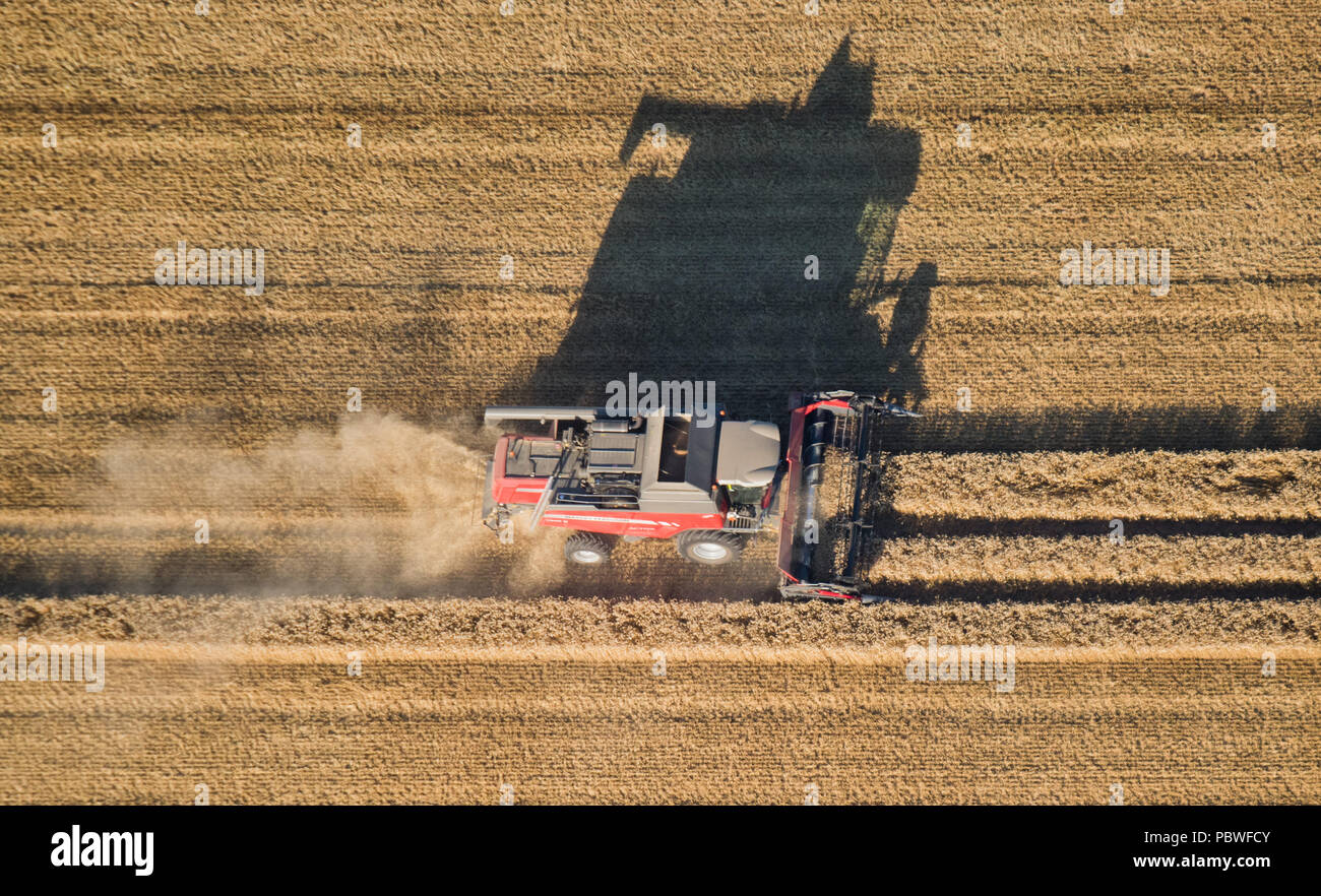 Sarstedt, Germany. 24th July, 2018. A combine harvester drives over a grain field. According to the German Farmers' Association, farmers are heavily affected by the recent drought and are in dire need for government support. Credit: Julian Stratenschulte/dpa/Alamy Live News Stock Photo