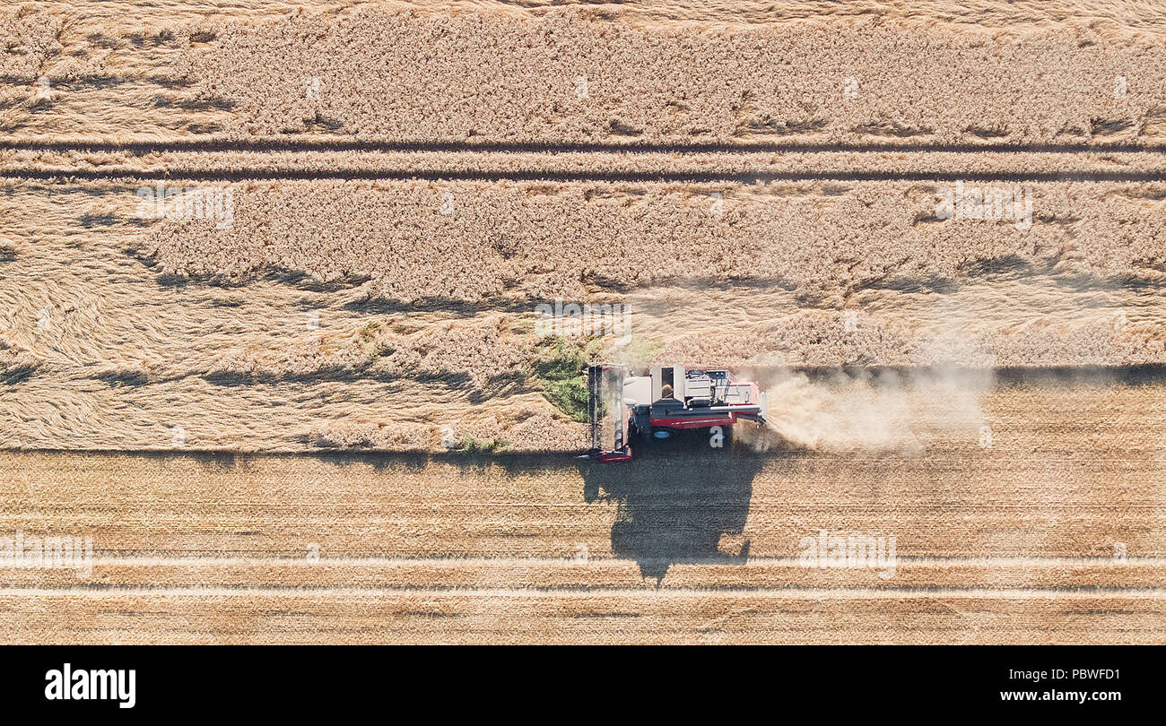 Sarstedt, Germany. 24th July, 2018. A combine harvester drives over a grain field. According to the German Farmers' Association, farmers are heavily affected by the recent drought and are in dire need for government support. Credit: Julian Stratenschulte/dpa/Alamy Live News Stock Photo