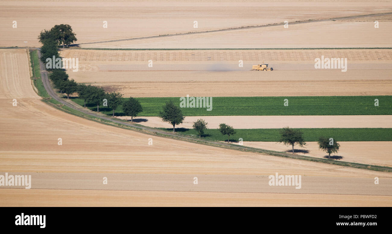 Hildesheim, Germany. 24th July, 2018. A combine harvester drives over a grain field. According to the German Farmers' Association, farmers are heavily affected by the recent drought and are in dire need for government support. Credit: Julian Stratenschulte/dpa/Alamy Live News Stock Photo
