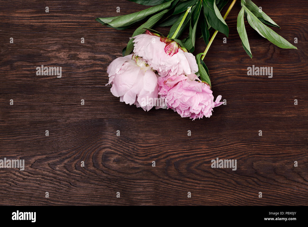 bouquet of pink peonies Stock Photo - Alamy