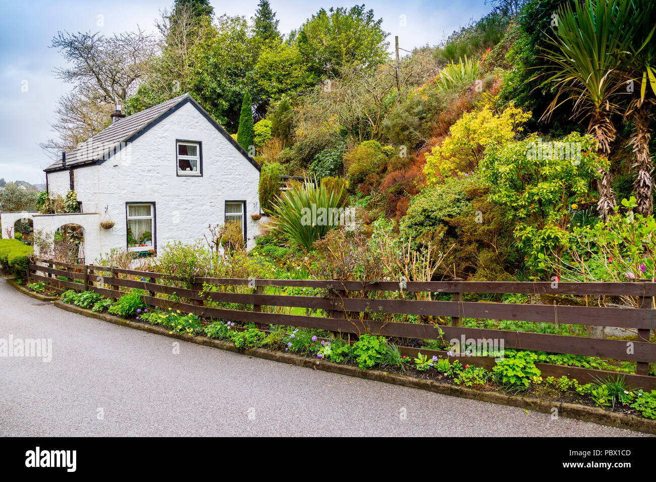 A Colourful Spring Garden Outside A Cottage In Oban Argyll And