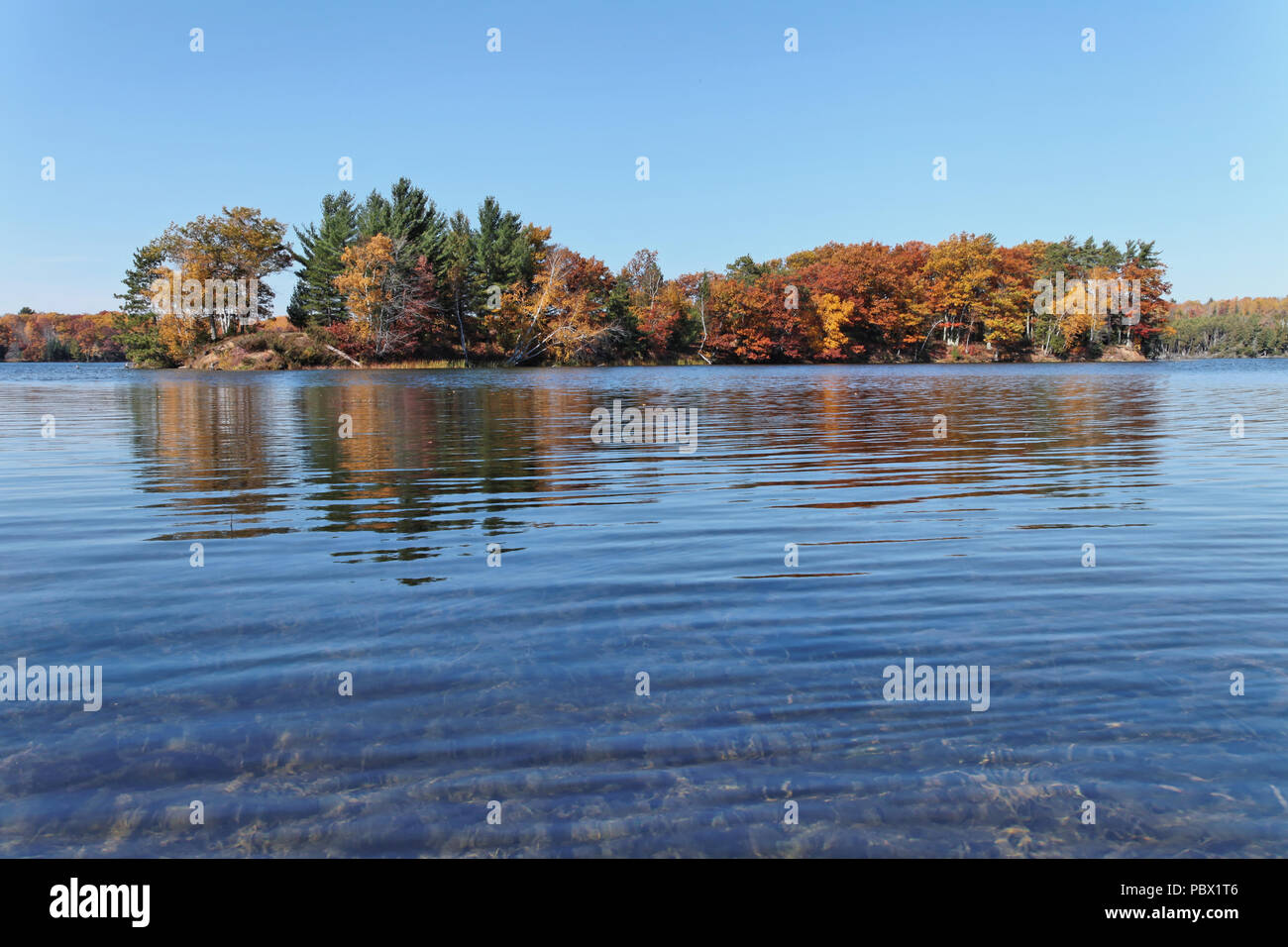 AuSable River Michigan Stock Photo Alamy   Ausable River Michigan PBX1T6 