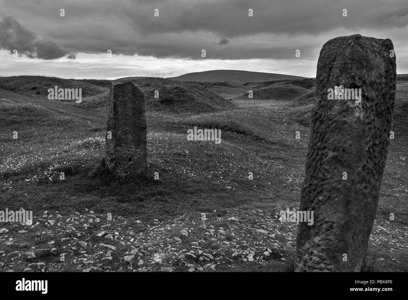 The moorland of Grin Low above Buxton, Derbyshre, England, UK. Black and white version Stock Photo