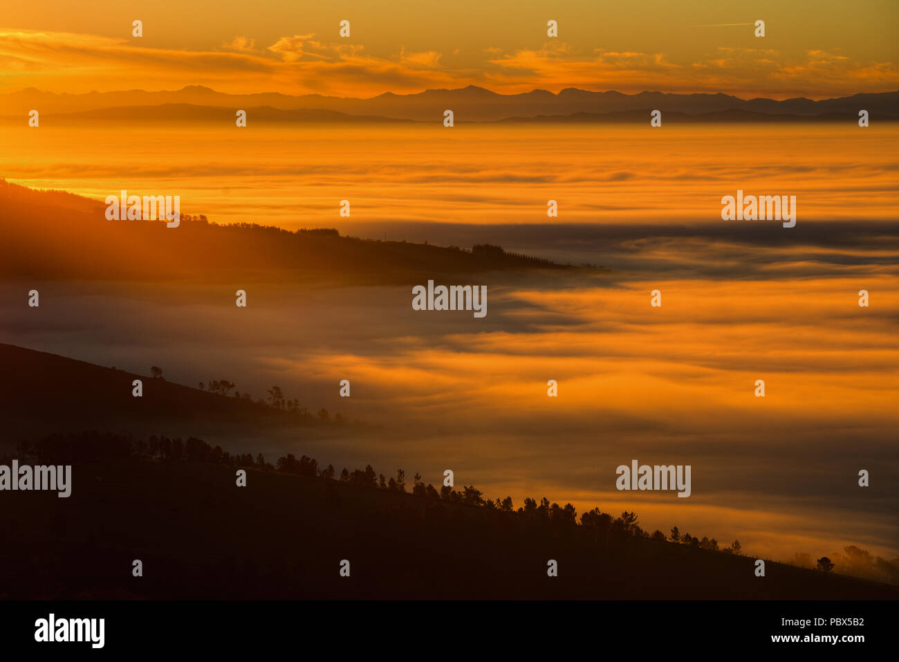Orange light of dawn gilding the fog of the valley, in Muras, Lugo, Galicia Stock Photo