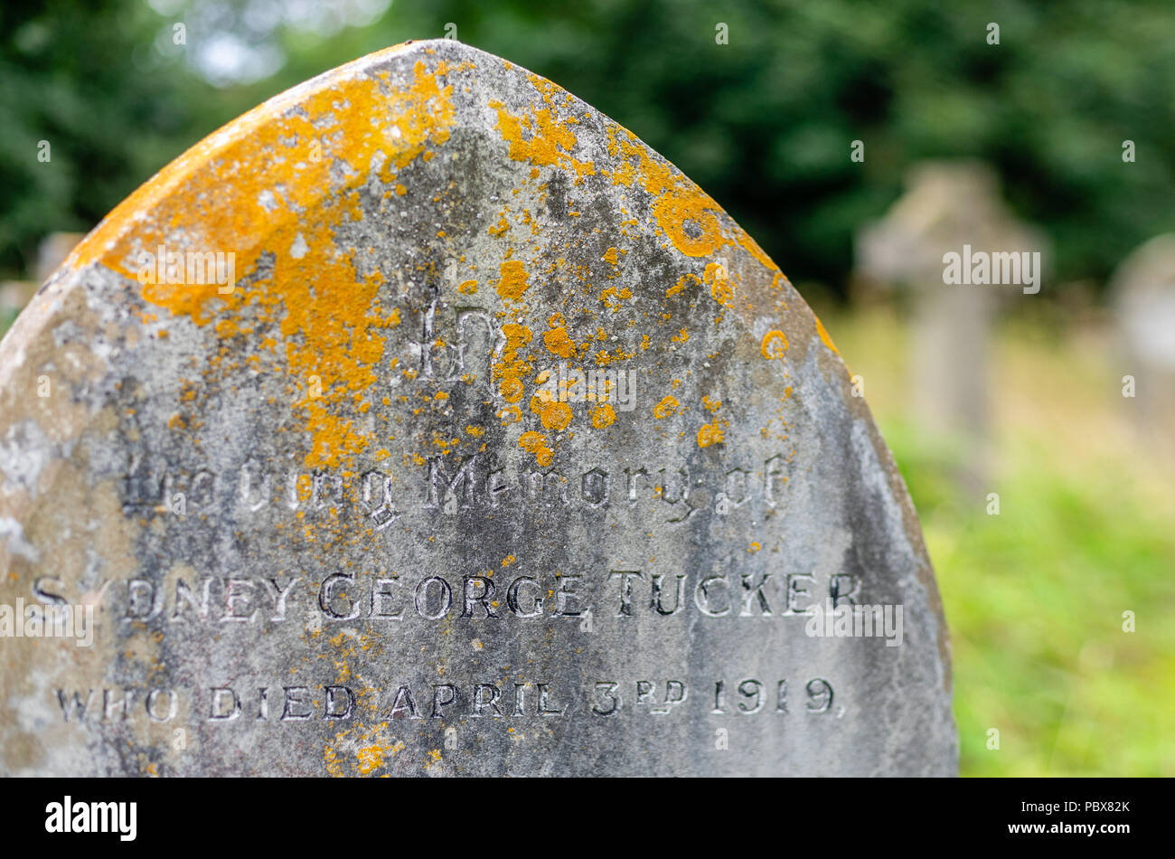 Lichen (Caloplaca flavescens) growth on an old early 20th century gravestone in Southern England, UK Stock Photo