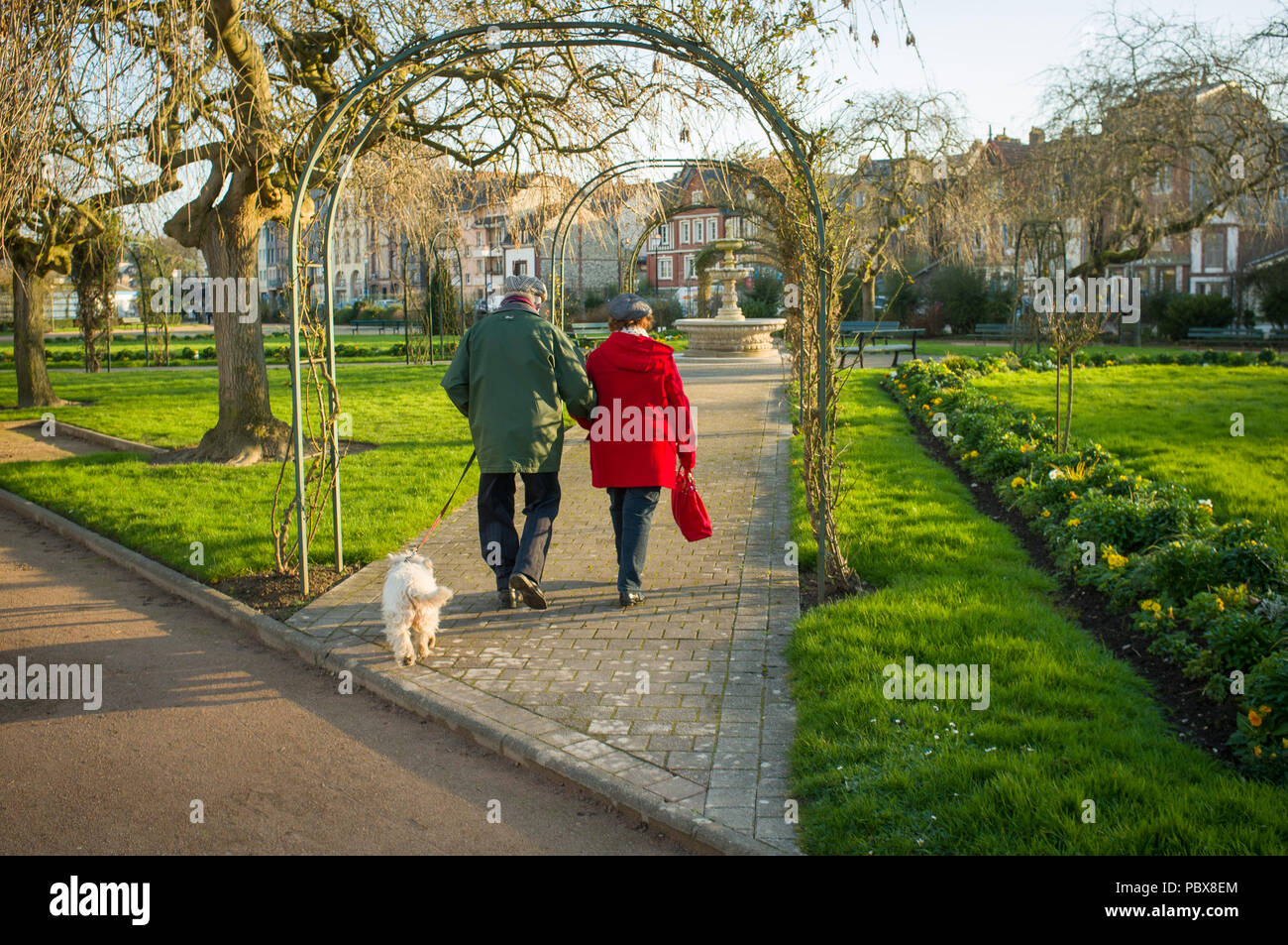 Couple walking in park with dog hi-res stock photography and images - Alamy