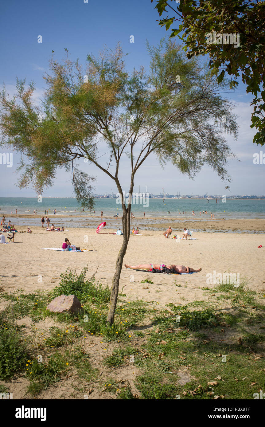 Honfleur Importantes Recherches Après La Chute Dune