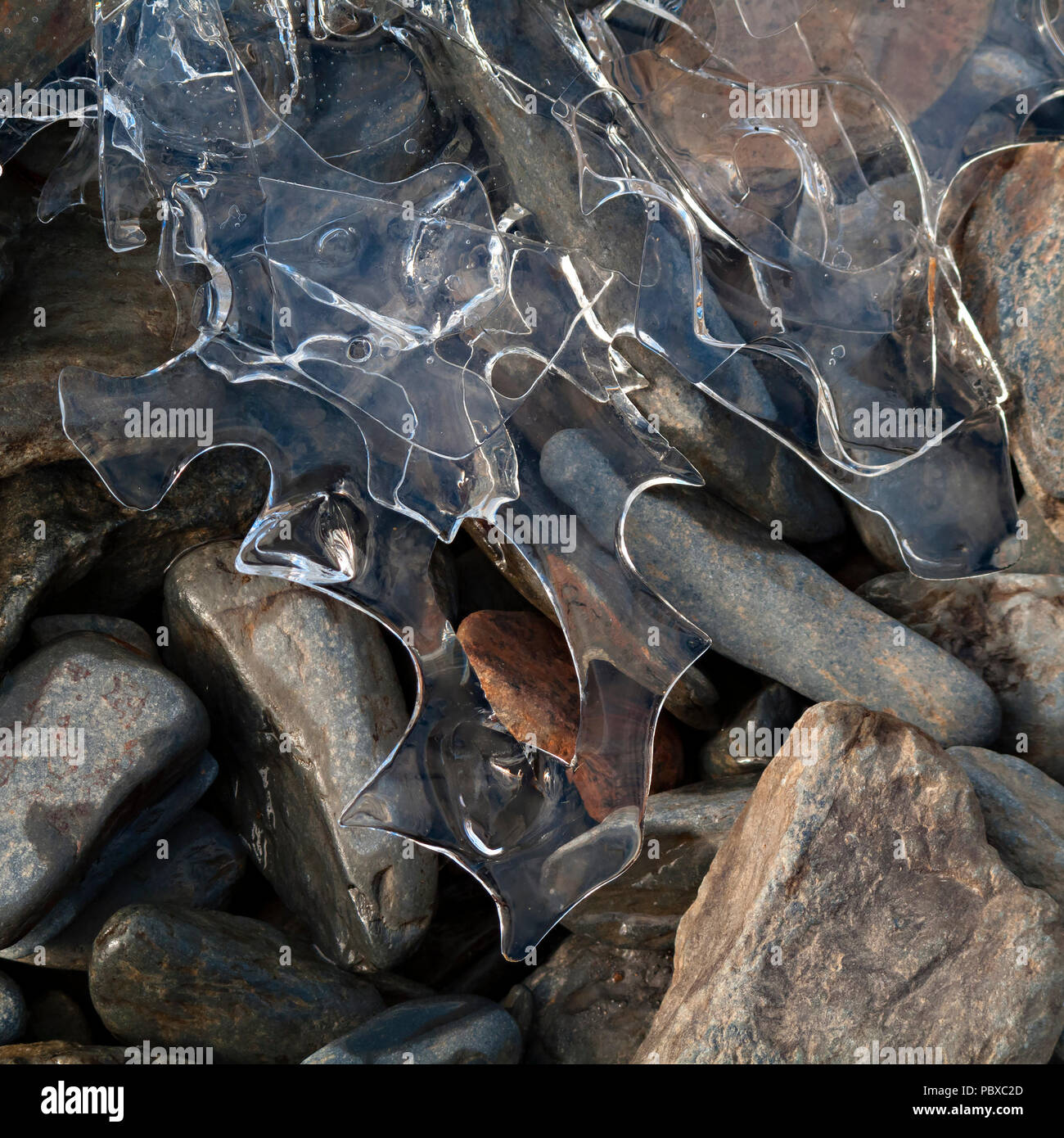 Thin, small, broken and thawing drift ice sheet fragments on lake shore of Buttermere in Winter, English Lake District, Cumbria, UK Stock Photo