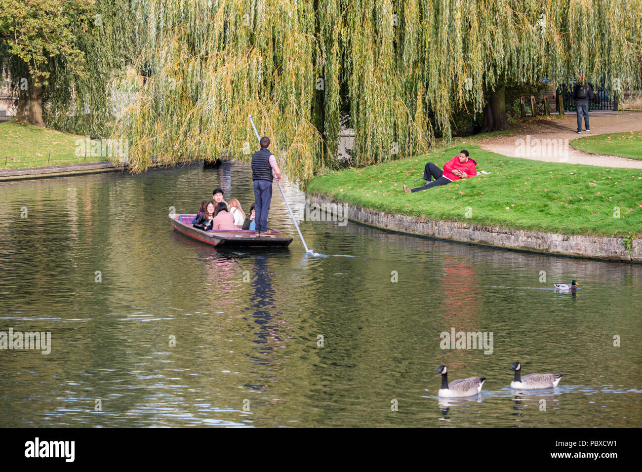 Cambridge visitors in punts on the River Cam in Cambridge, England UK. Stock Photo