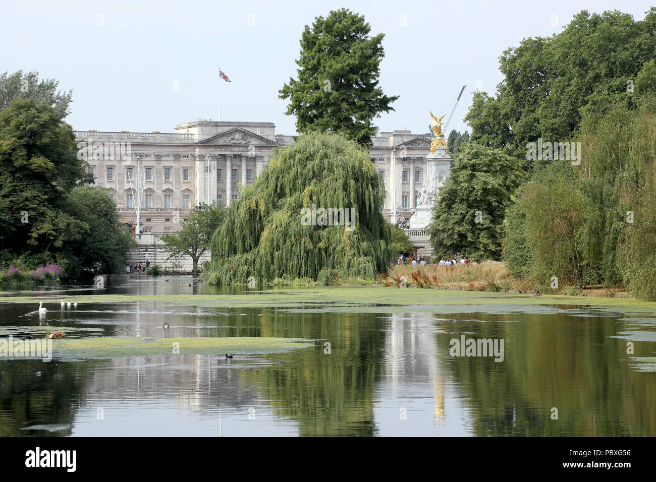 London / UK - July 26 2018: View of Buckingham Palace the home of the British monarch, through the trees of St James Park in central London Stock Photo