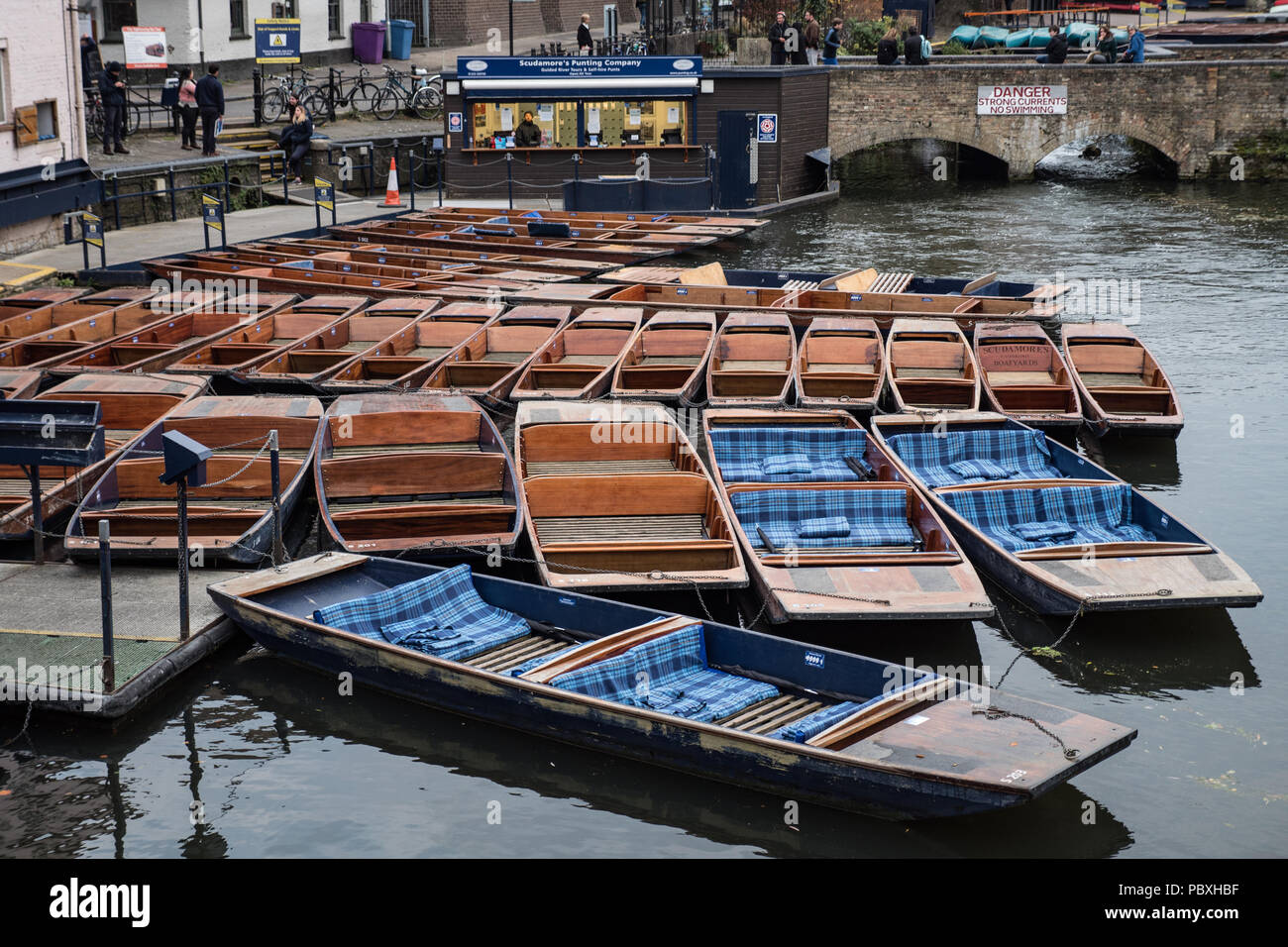 Punts at Scudamore's Mill Lane Punting Station on the River Cam Cambridge England UK Stock Photo