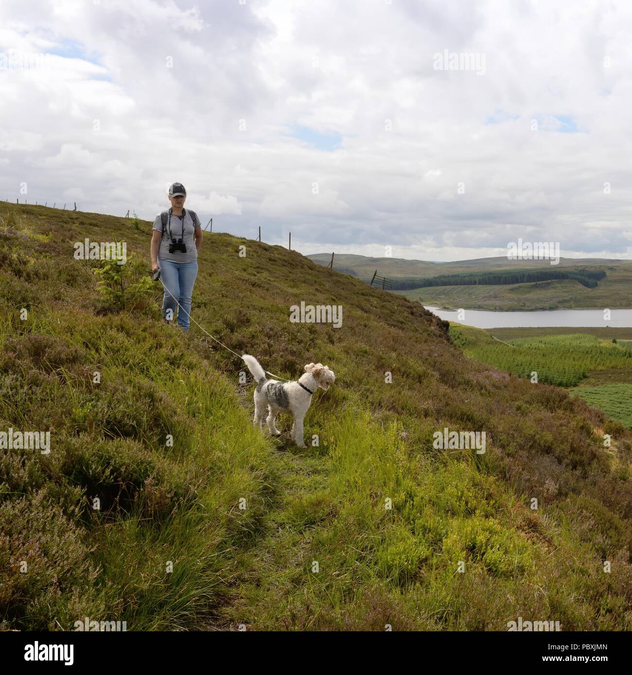 A woman and dog rambling/walking on Auchineden Hill, Stirlingshire, Scotland, UK Stock Photo