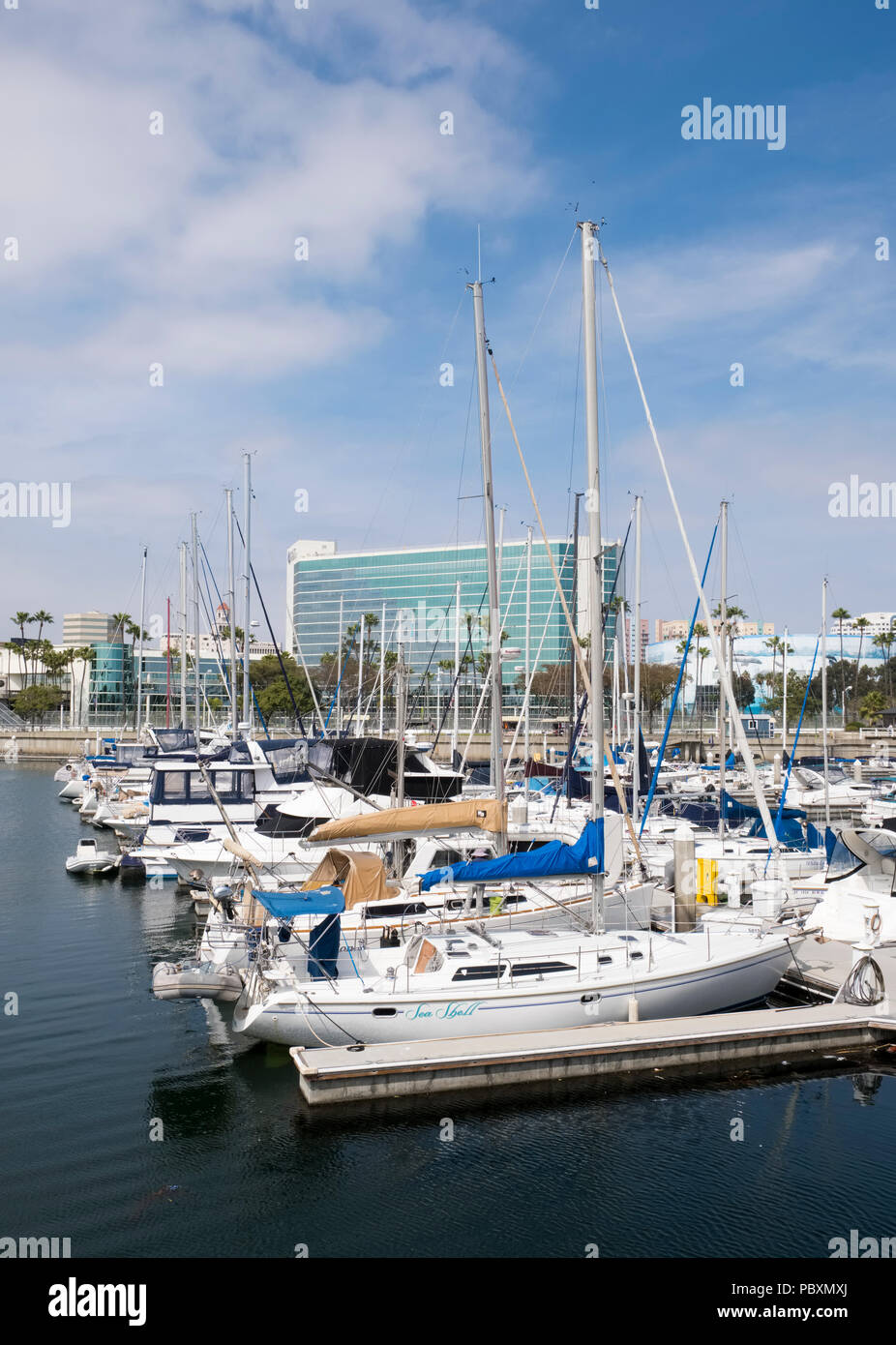 Boats and yachts in the harbour at Long Beach, California, CA, USA Stock Photo