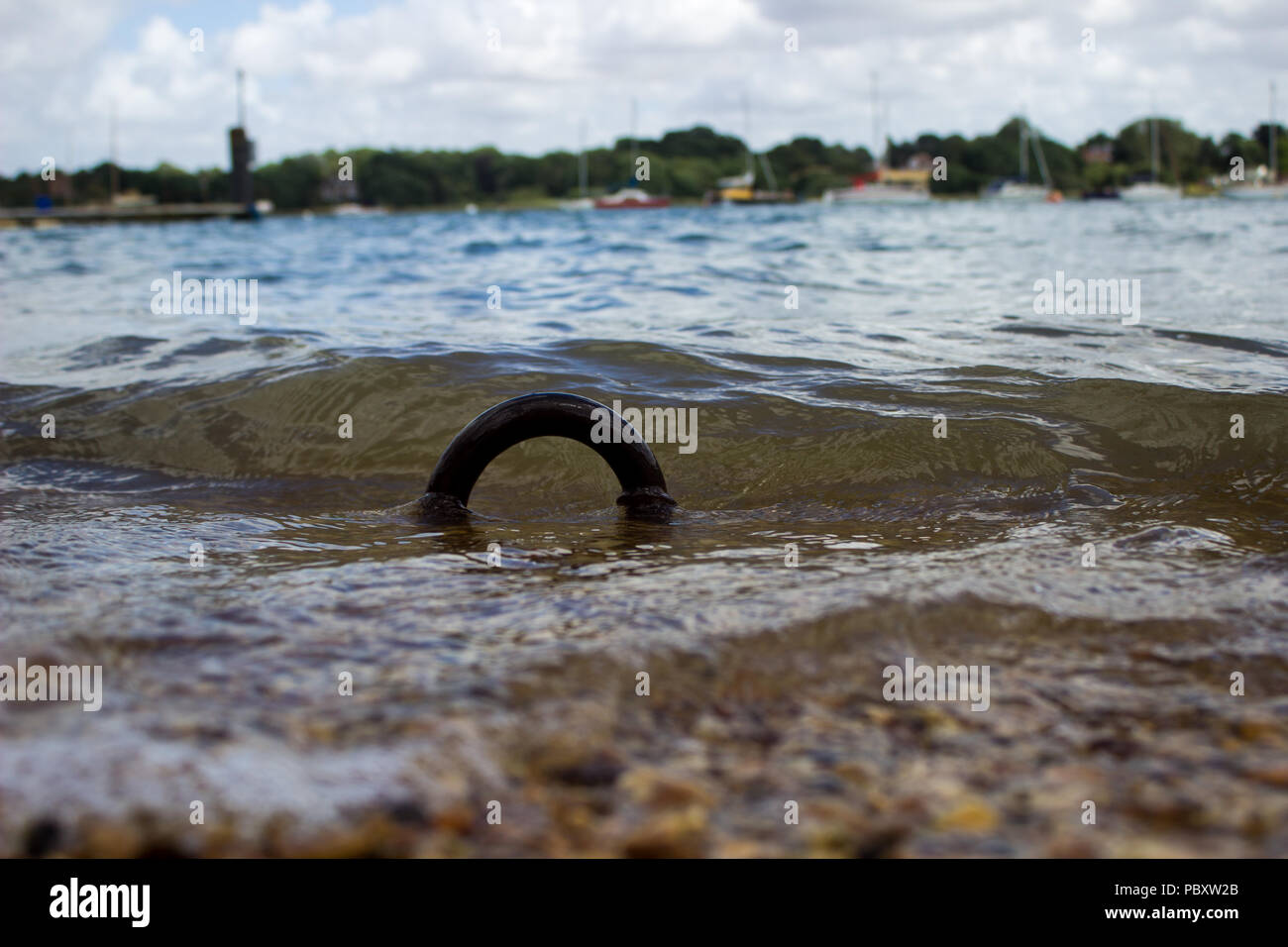 Crest ring hires stock photography and images Alamy