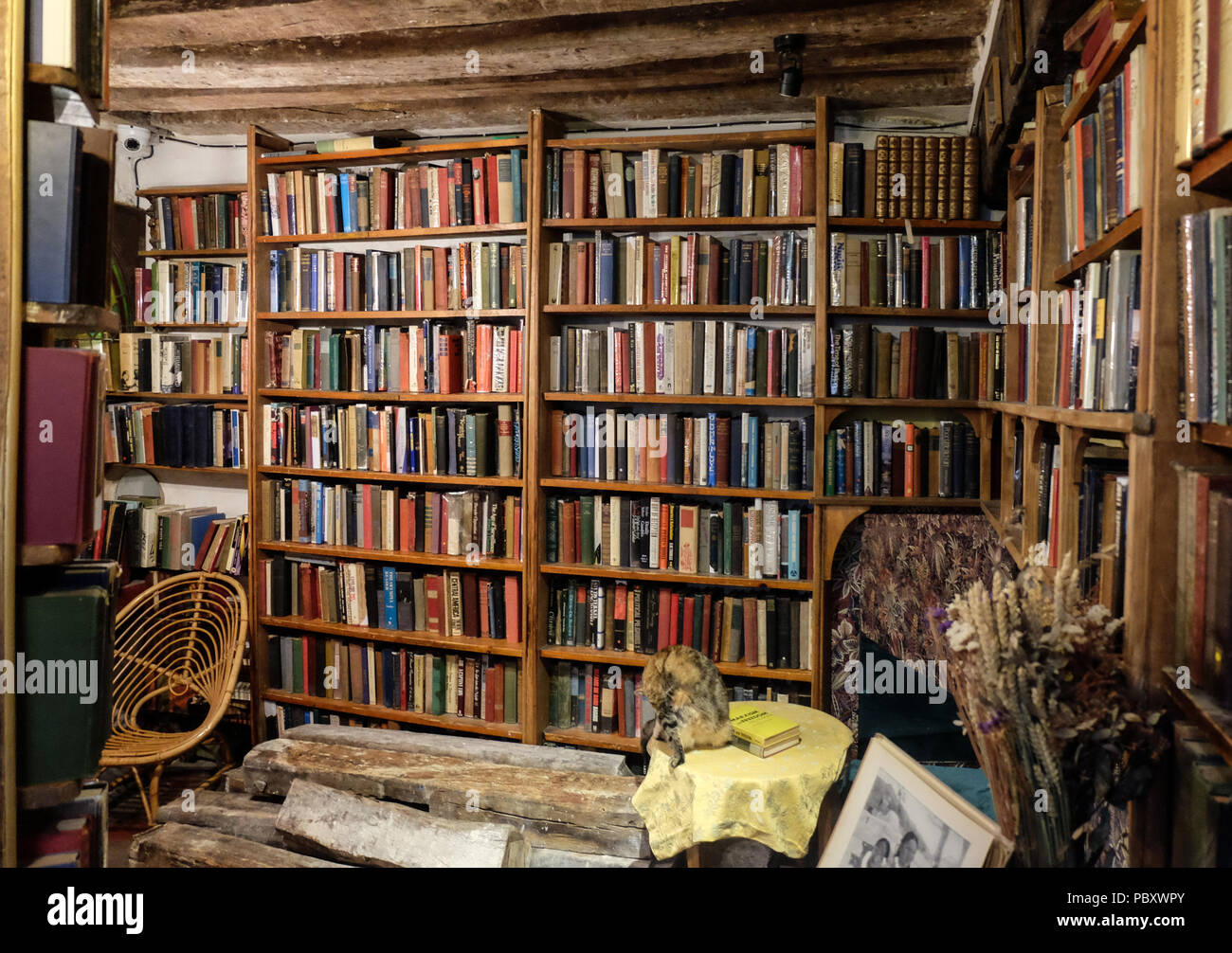 Paris, France November 2017 Rows of old books on a bookshelf