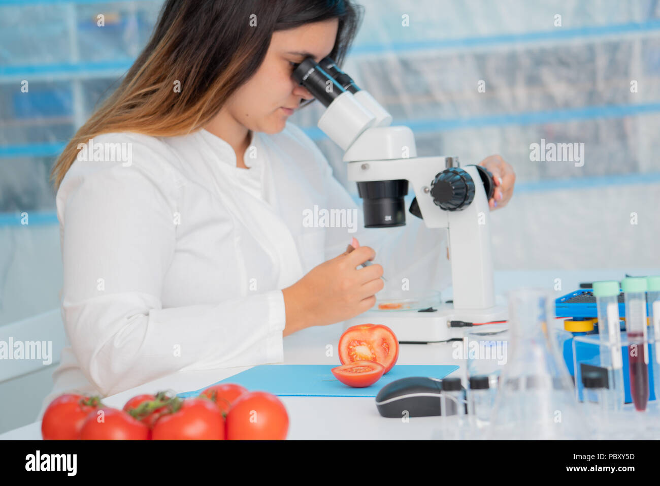 Checking fruit and vegetables for harmful elements. Laboratory for