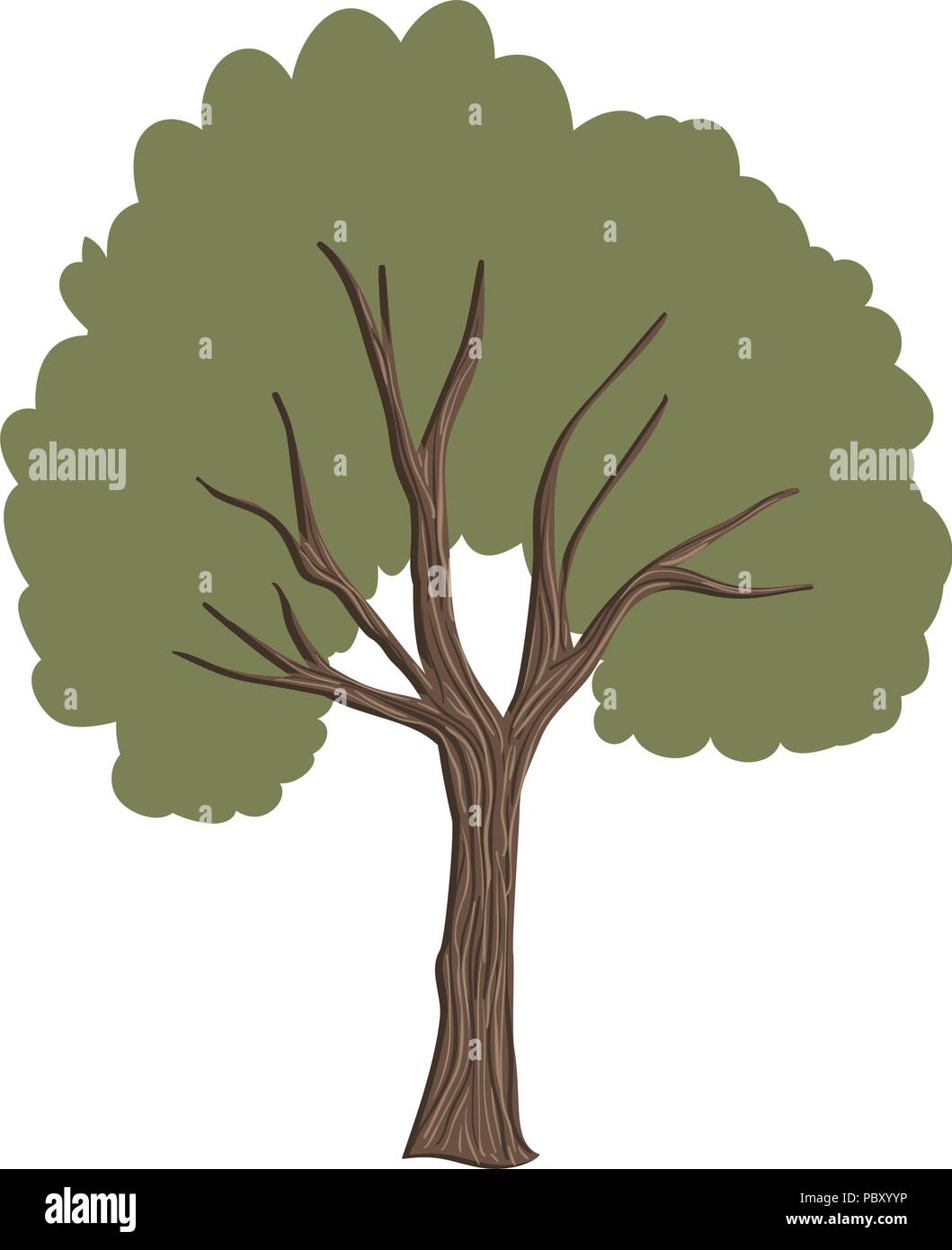 tree plant nature icon Stock Vector Image & Art - Alamy