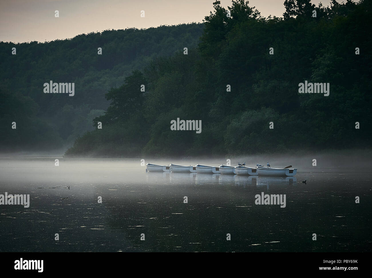 Rowing Boats on a Lake with mist in evening light Stock Photo