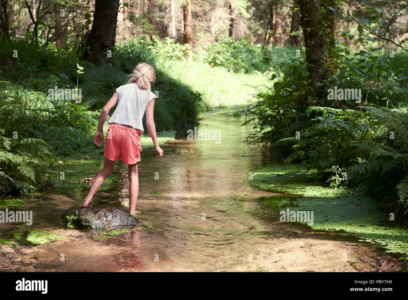 Child cute blond girl playing in the creek. Gril walking in forest stream and exploring nature. Summer children fun. Children summer activities Stock Photo