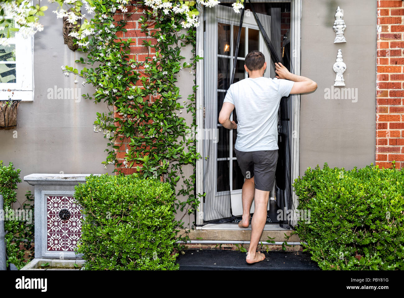 Young man, house, entering outdoor spring garden with hanging plant flowers  covering brick wall in backyard porch of home by door, insect mosquito pes  Stock Photo - Alamy