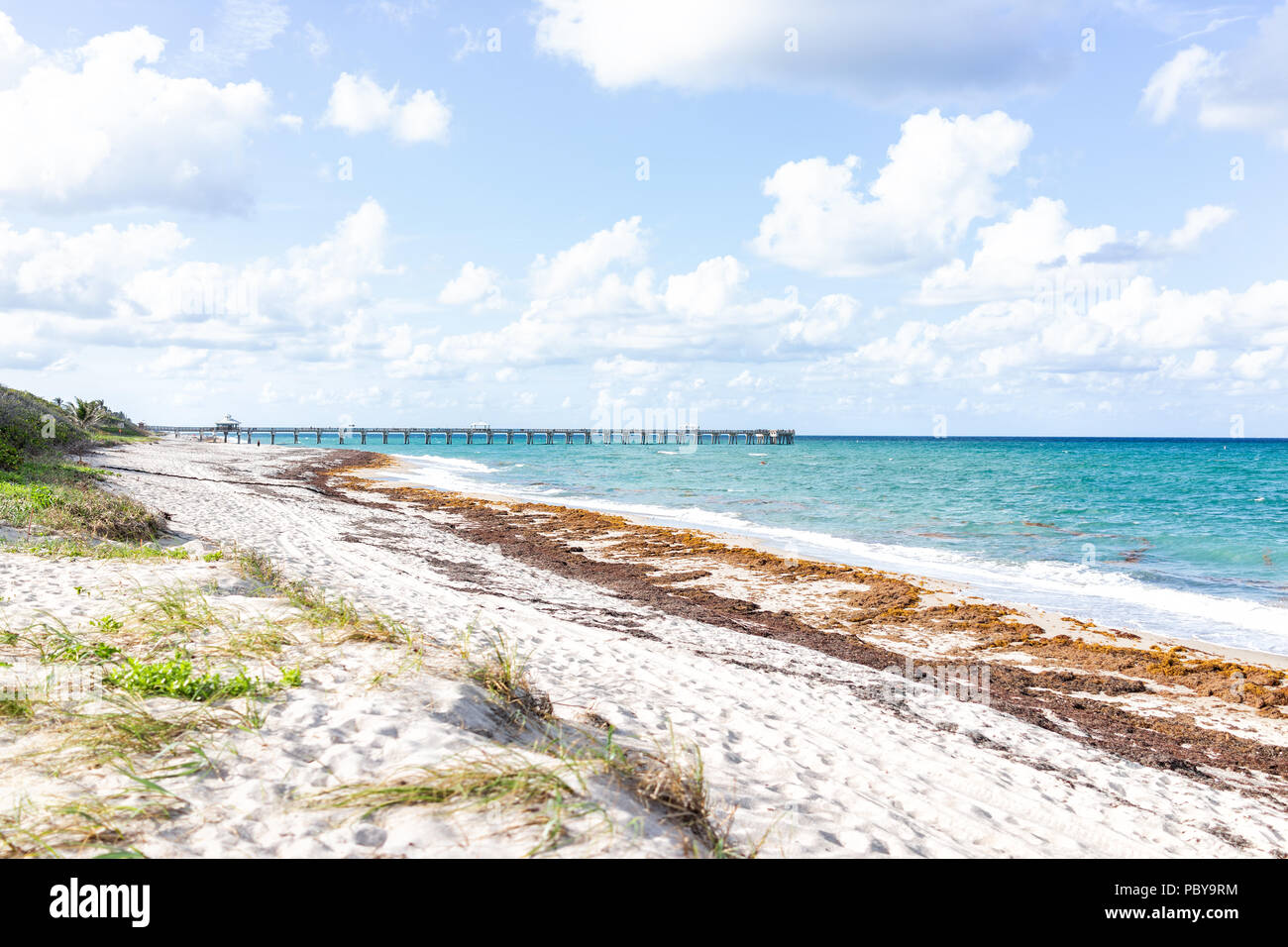Landscape view of Juno Beach Pier jetty in Jupiter, Florida, sunny day