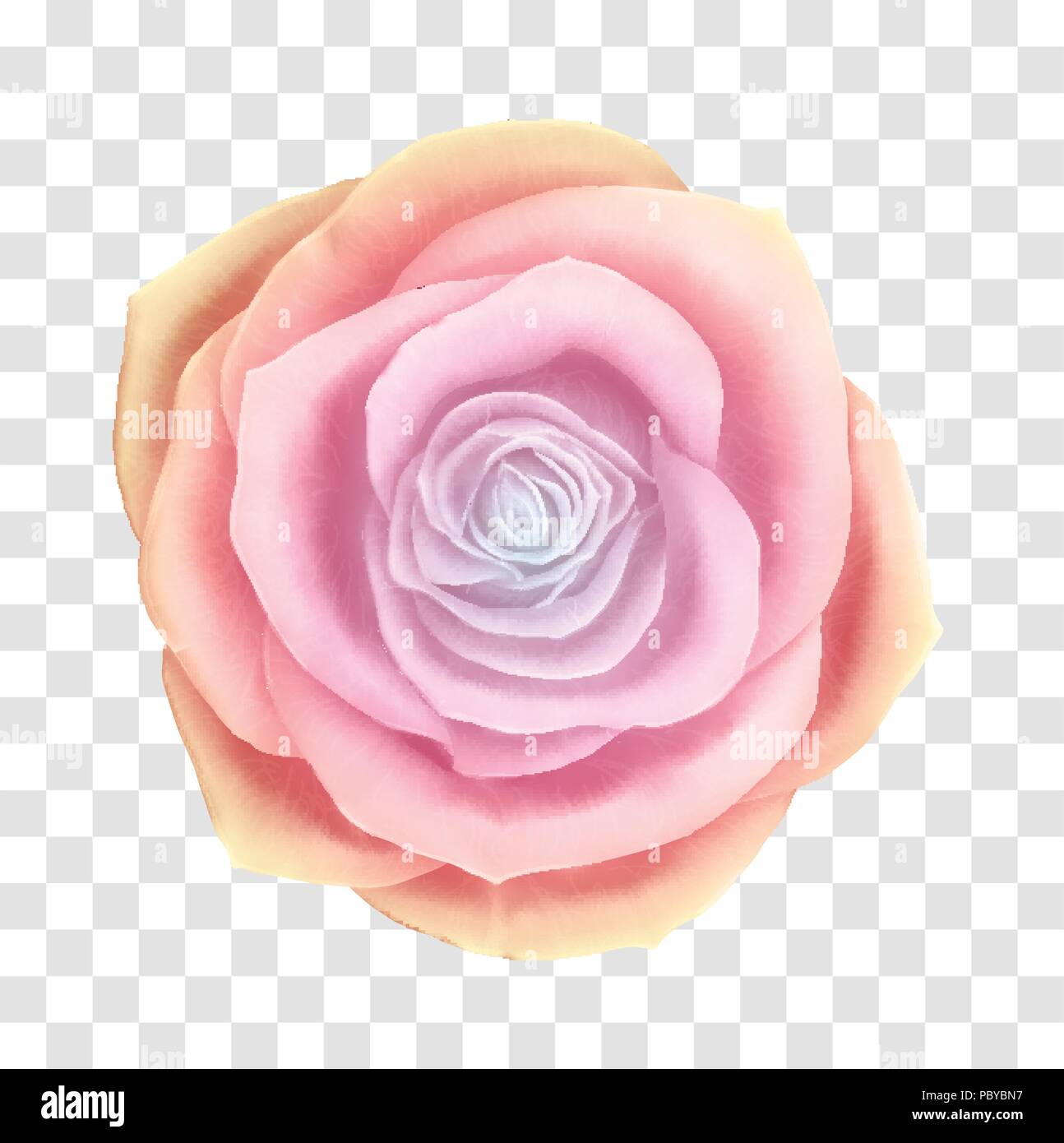 Vector Beautiful Rose Floral Decorative Element Stock Vector Image