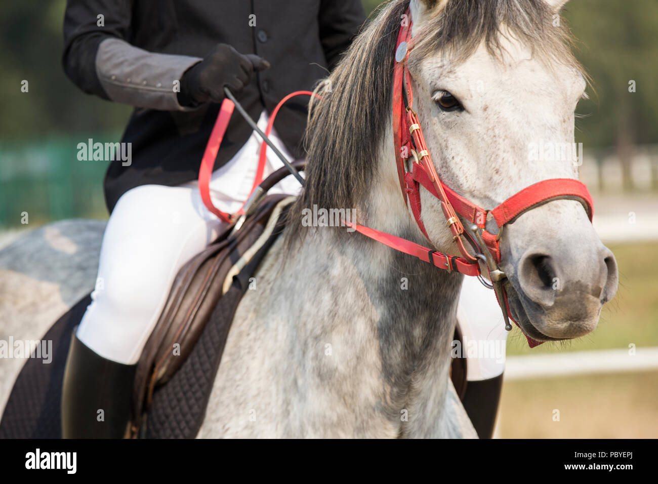 Young Chinese man riding horse Stock Photo