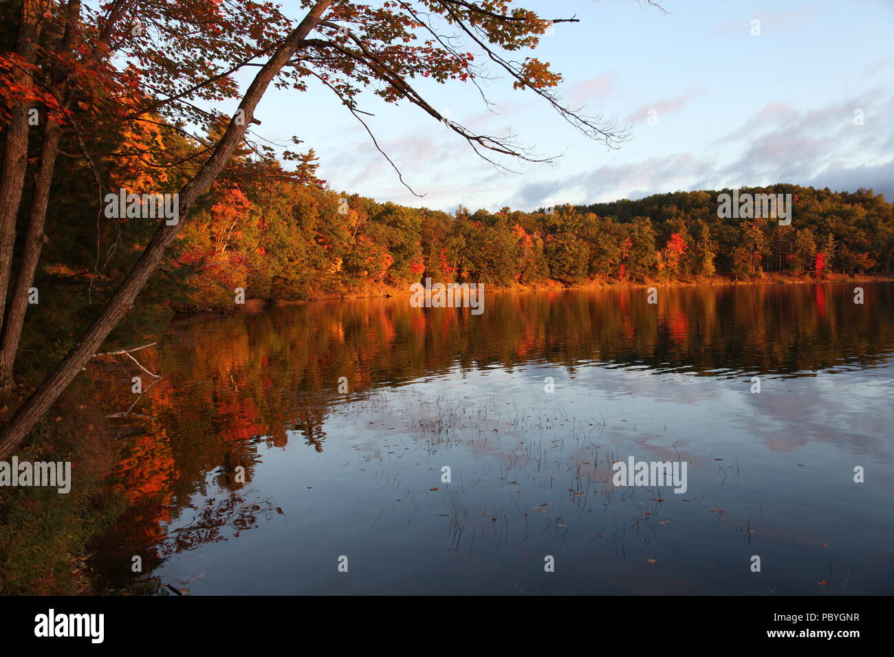 AuSable River Michigan Stock Photo Alamy   Ausable River Michigan PBYGNR 