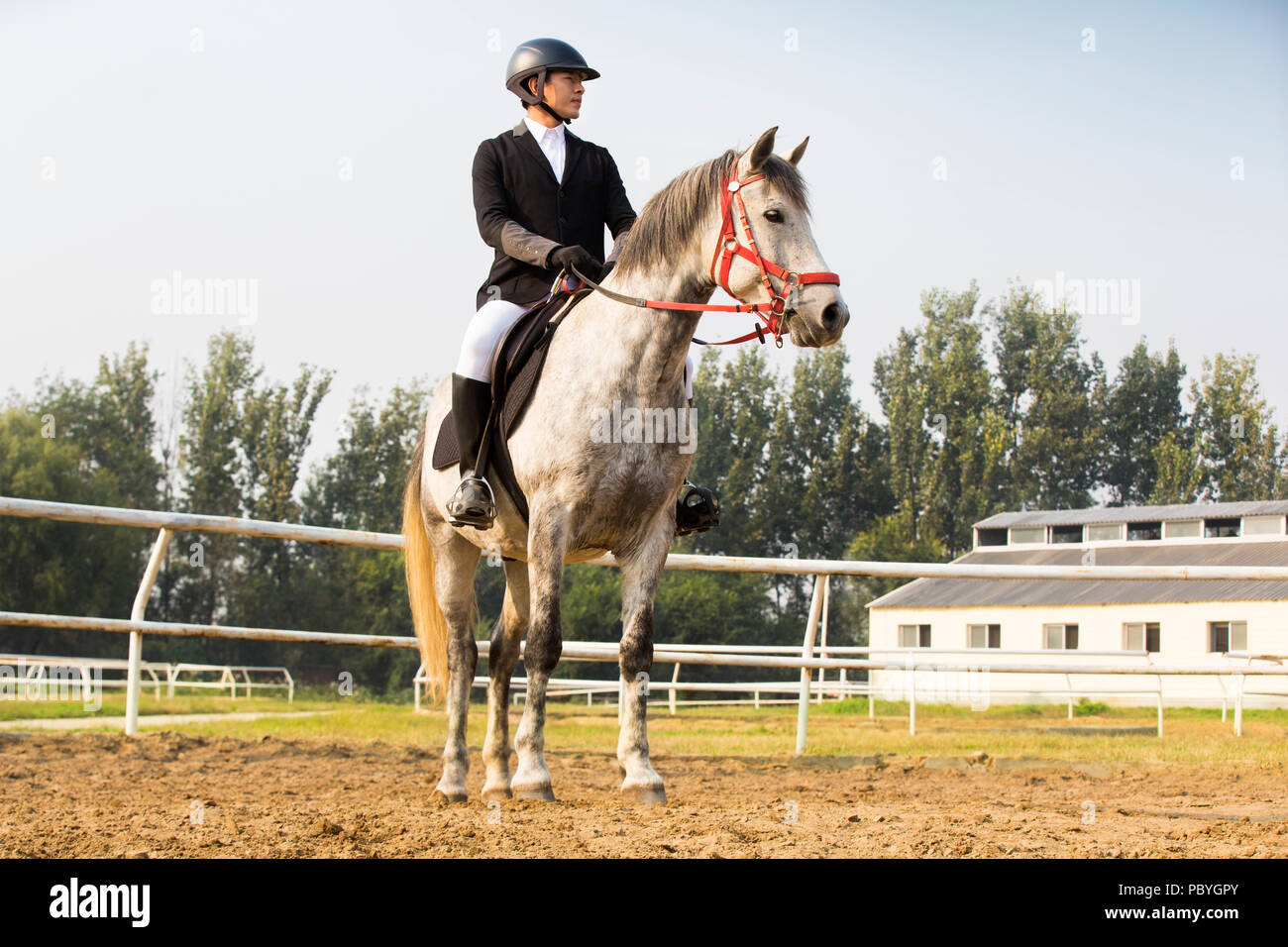 Young Chinese man riding horse Stock Photo - Alamy