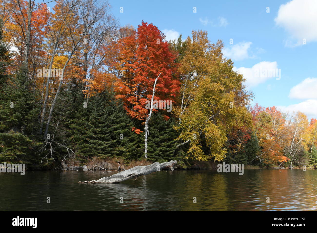 AuSable River, Michigan Stock Photo Alamy