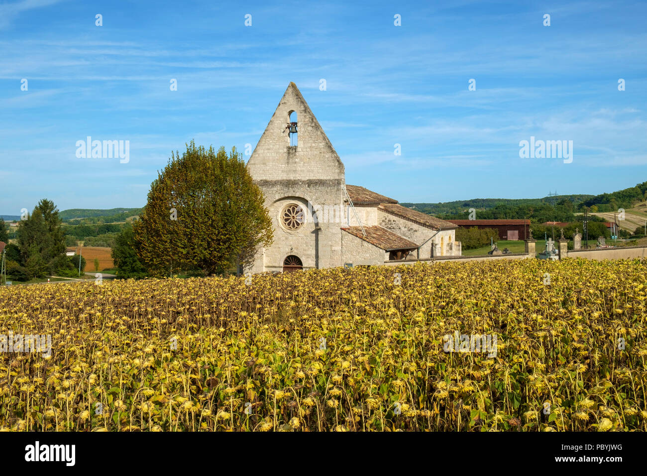 The picturesque little church in the hamlet of Lieu dit Saint Leger near Tournon d'Agenais is seen beyond a field of ripening sunflowers in rural   Lot et Garonne countryside, France Stock Photo