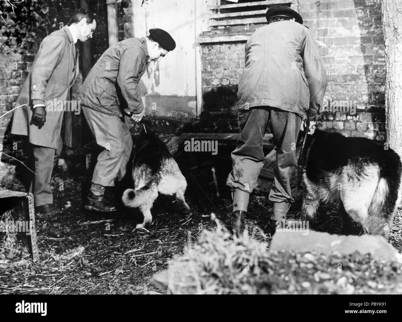 The Beast in the Cellar, aka Der Keller, Großbritannien 1971, Regie
