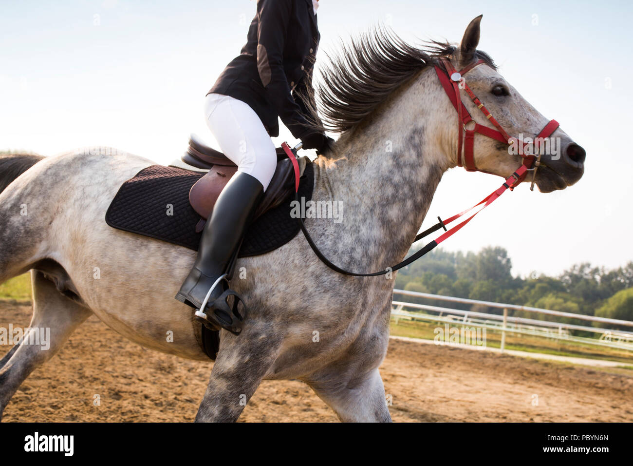 Chinese young woman riding horse hires stock photography and images