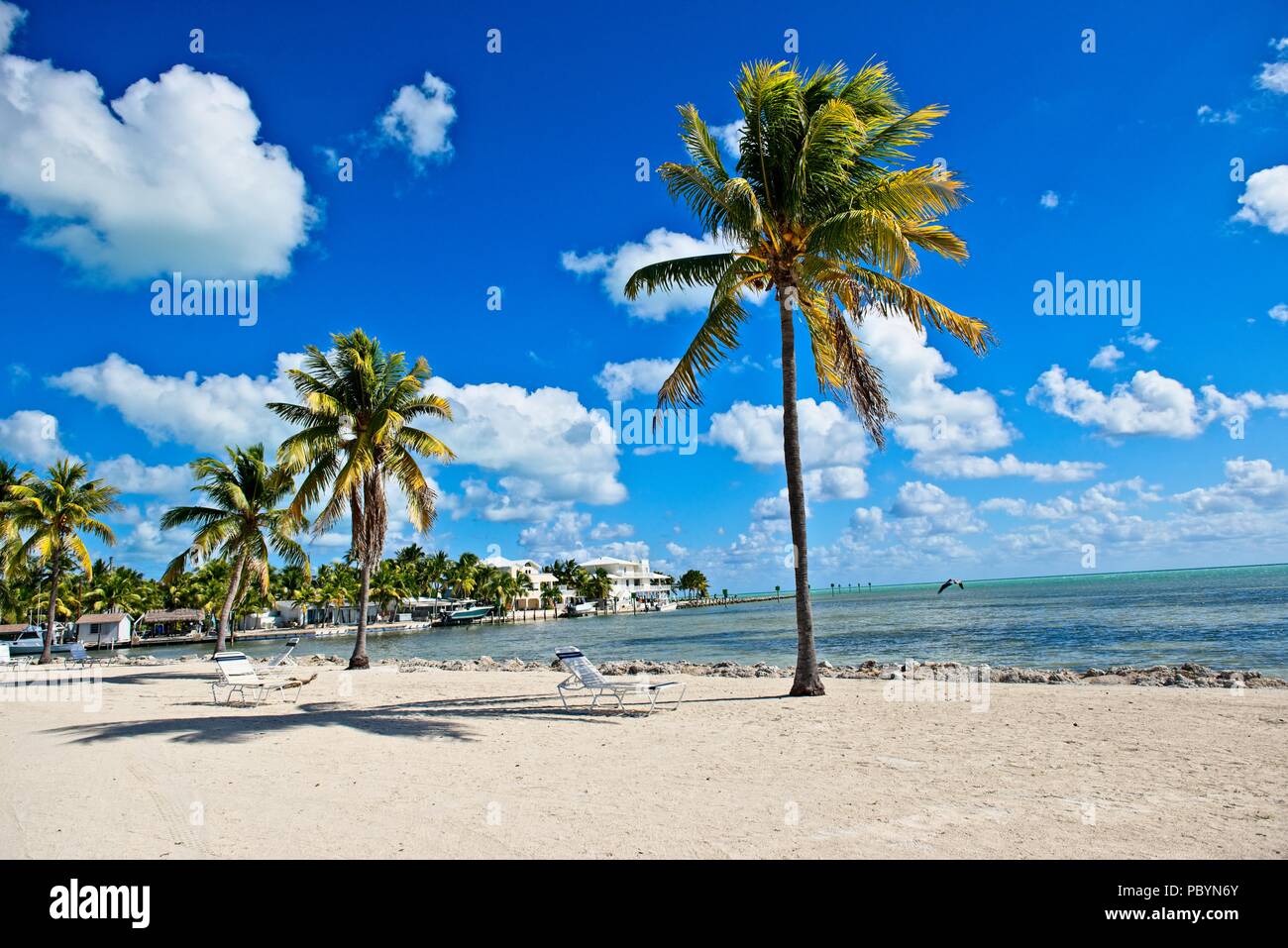 Islamorada florida hi-res stock photography and images - Alamy Islamorada florida hi-res stock photography and images - Alamy