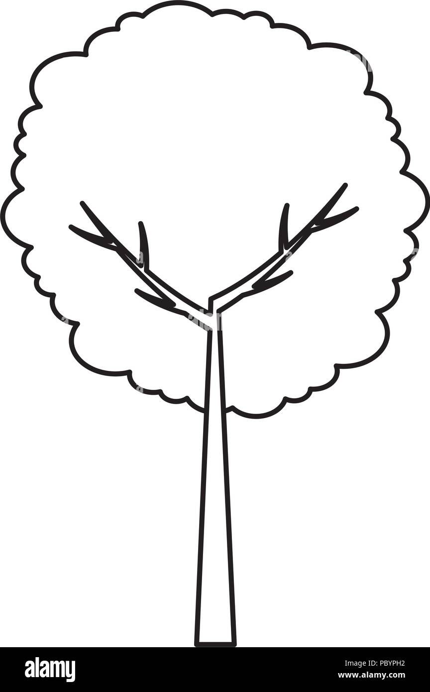 tree plant nature icon Stock Vector Image & Art - Alamy