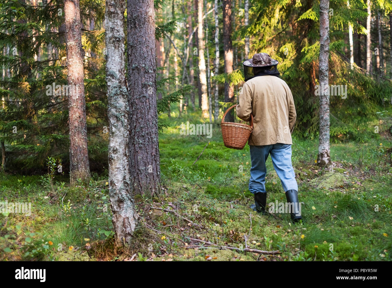 mushroomer collect mushroom on forest Stock Photo