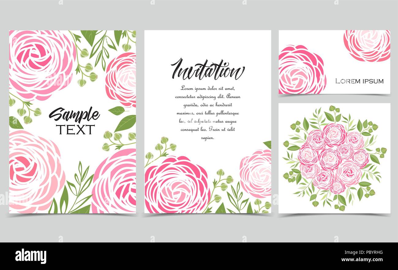 Vector illustration of ranunculus flower. Backgrounds with pink flowers ...