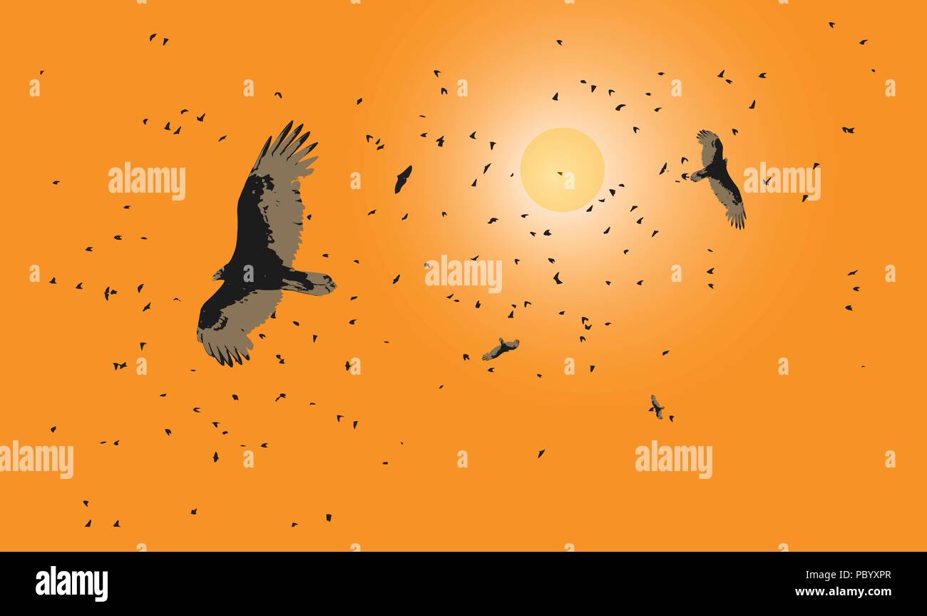 Vultures and starlings in sillhouette circle ominously against a bright orange sky with brilliant sun. Stock Vector