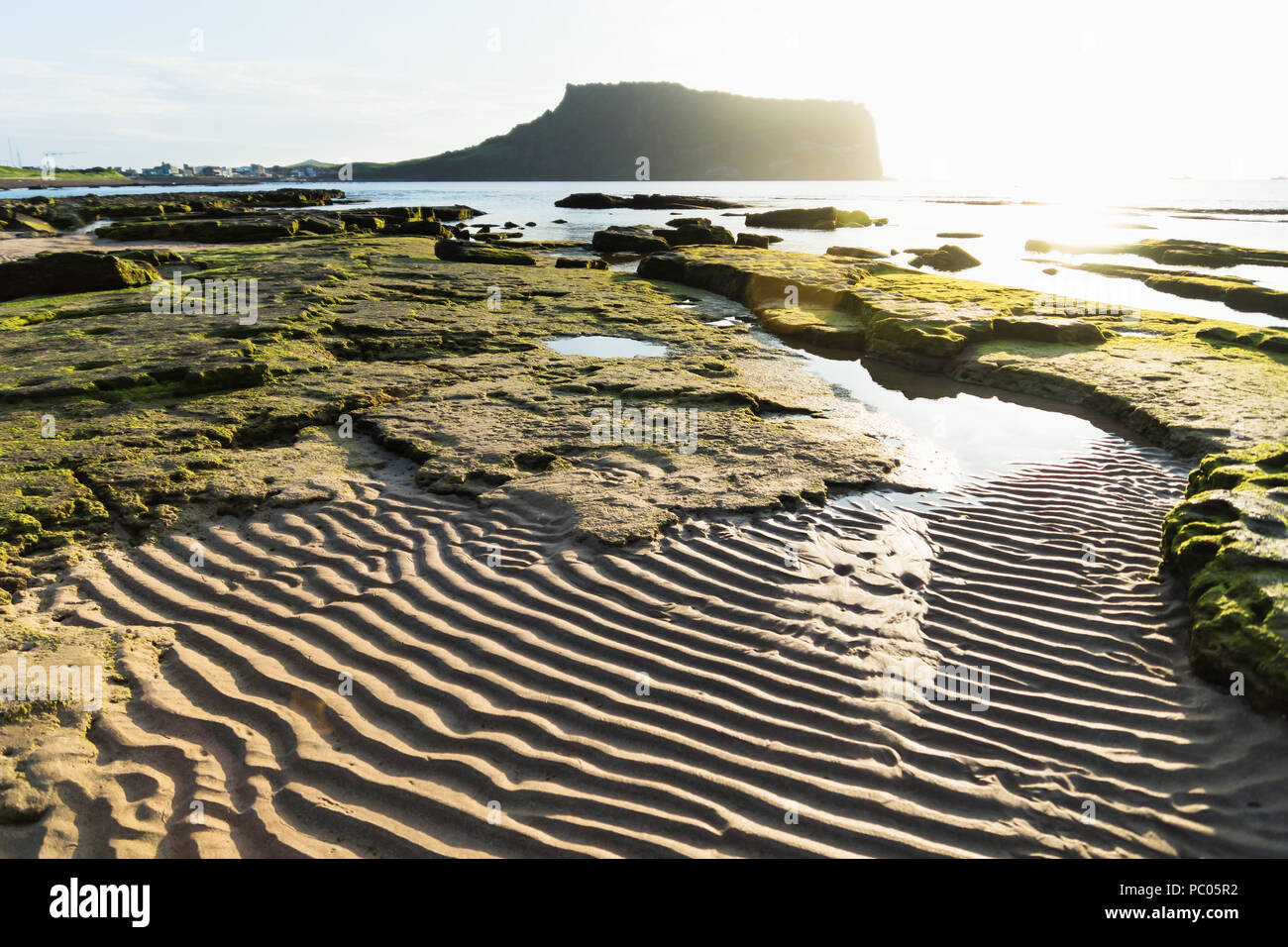 Rippled beach at sunrise at Ilchulbong volcano crater with view over ocean and green moss stones, Seongsan, Jeju Island, South Korea Stock Photo
