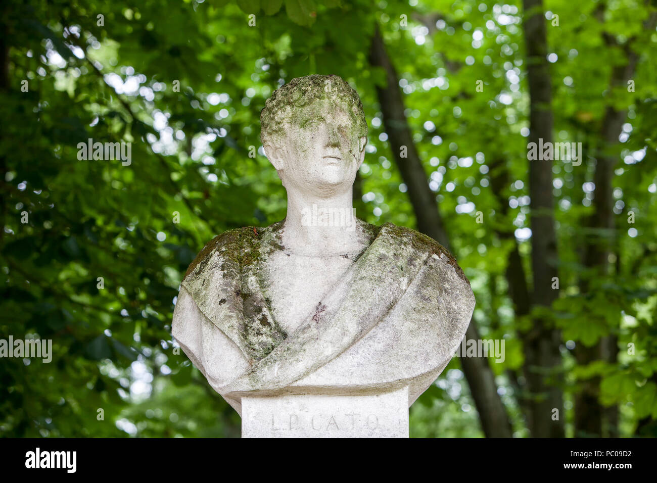 Bust of Lucius Porcius Cato at Nordkirchen Moated Palace, Germany Stock Photo