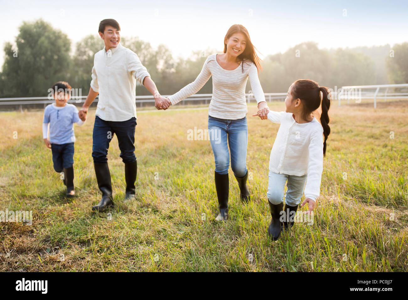 Cheerful young Chinese family walking on grassy field Stock Photo - Alamy