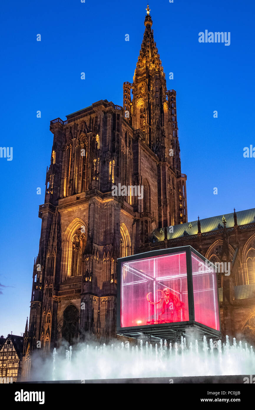 Strasbourg, 12.000-year-old mammoth skeleton suspended in display case, jet water fountain, illuminated cathedral, night, Alsace, France, Europe, Stock Photo