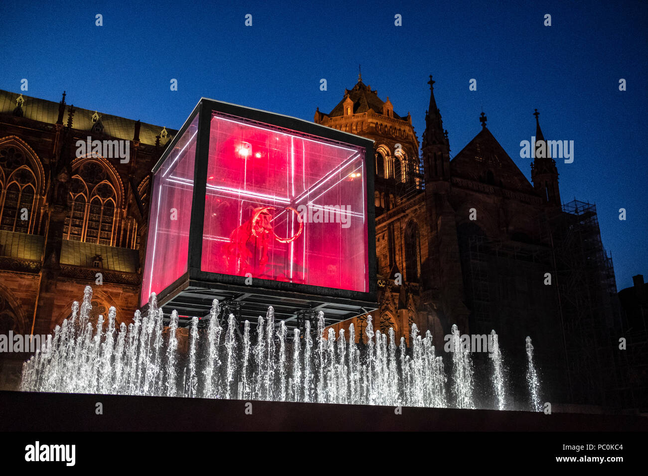 Strasbourg, 12.000-year-old mammoth skeleton suspended in display case, jet water fountain, illuminated cathedral, night, Alsace, France, Europe, Stock Photo