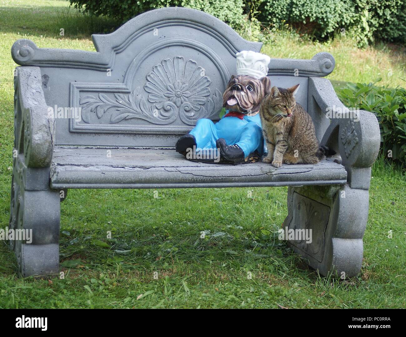 The pretty cat sits next to the figure of an English bulldog on the garden bench Stock Photo